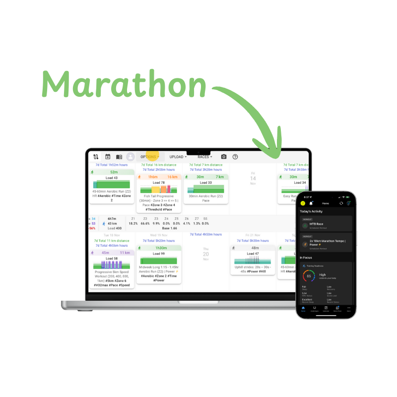 The Modular Marathon System by Dr Will